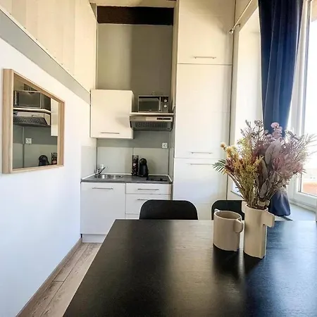 Apartament Bertone Lyon
